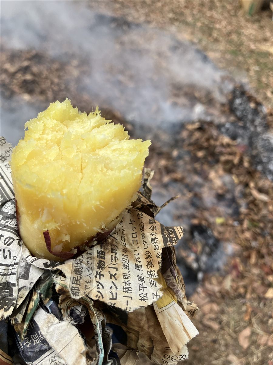里山活動でお芋を焼く